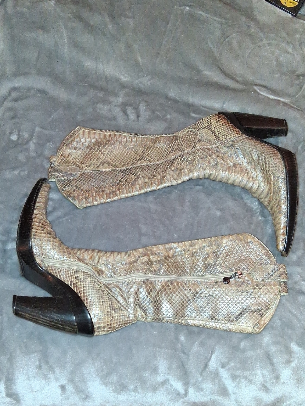 Gianni Bravo Women's VINTAGE Python Texano Point Boot 7.5-8 STUNNING,Gorgeous!